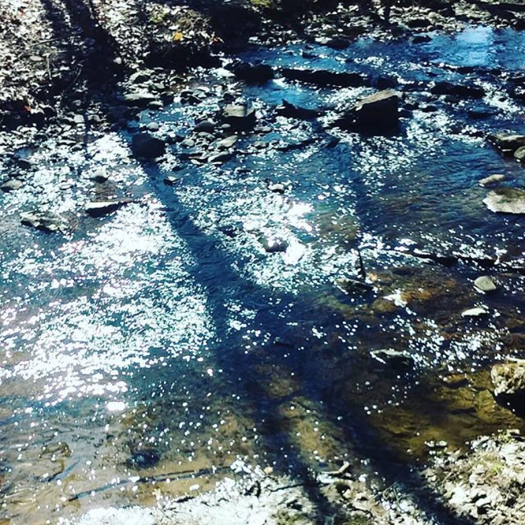Photo: Shine