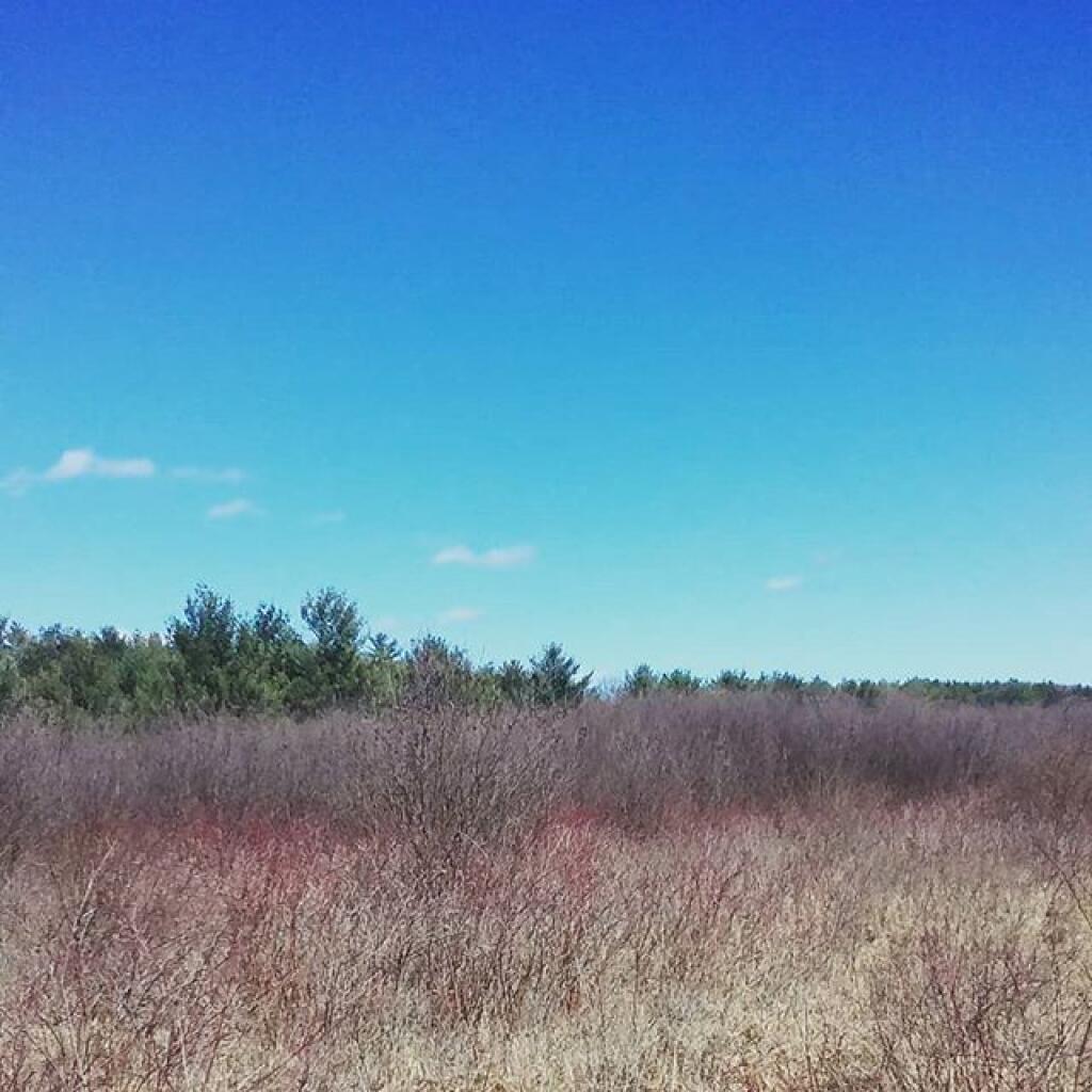 Photo: Field Photo: Field