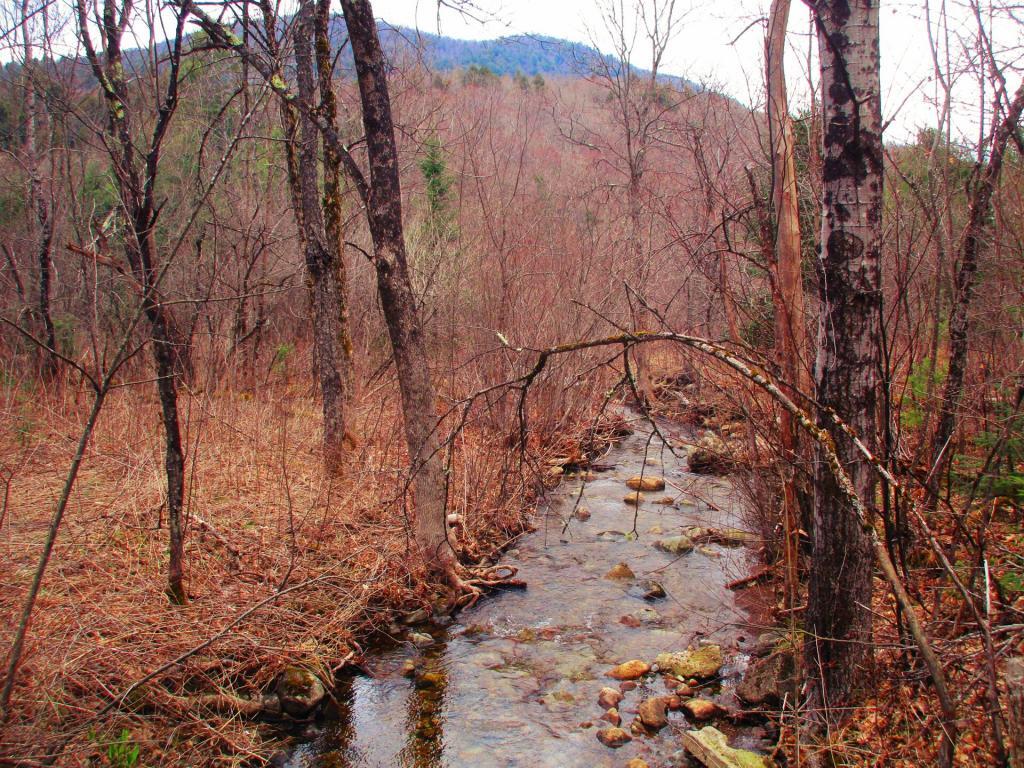 Photo: Kibby Brook Off Old Route 8 (Now Driveway to Campsite 3)
