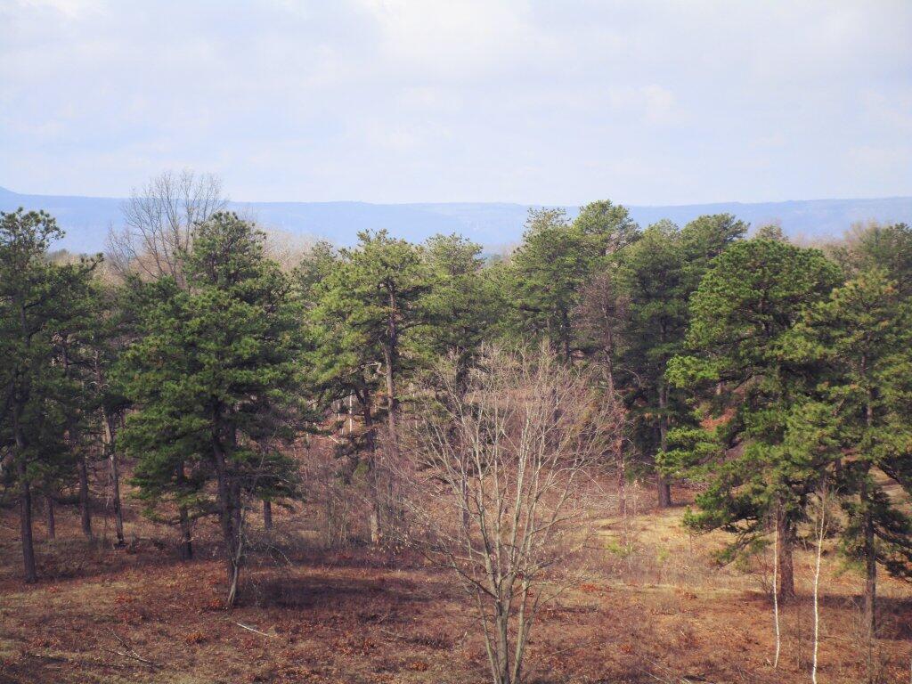 Photo: Before Spring