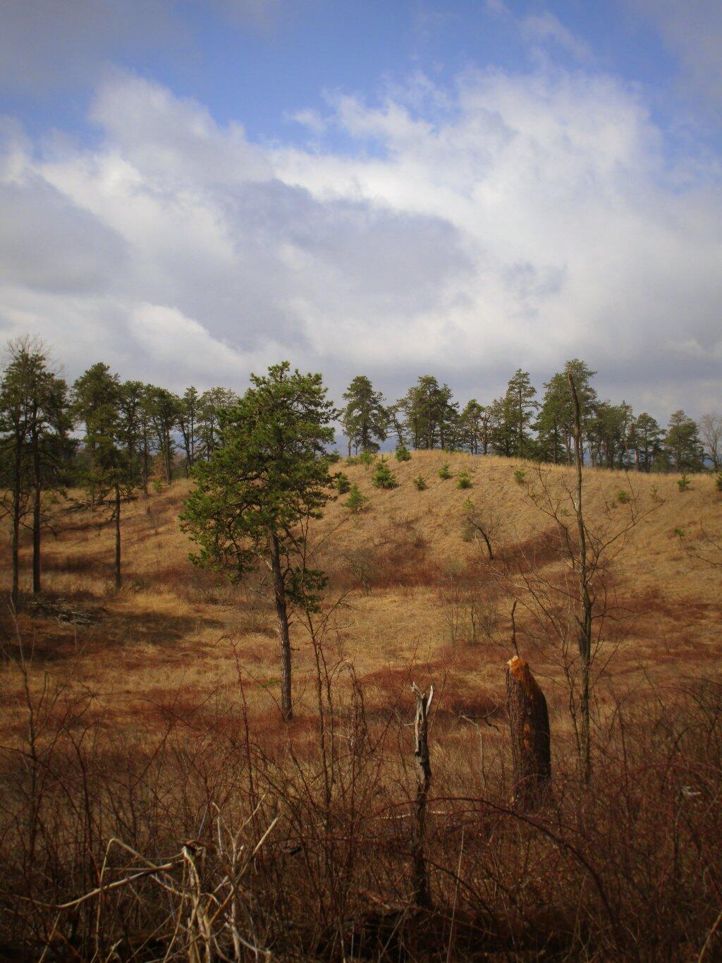 Photo: Dune