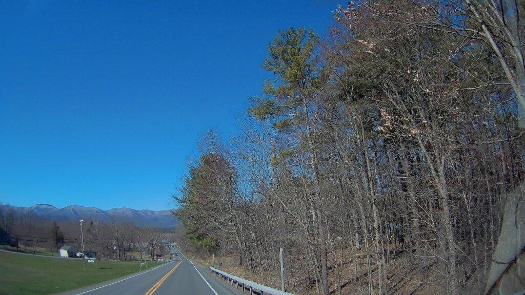Photo: Freehold