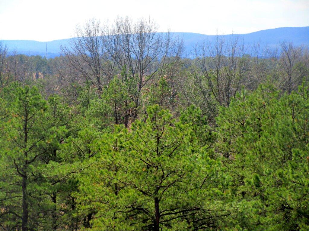 Photo: Off Overlook Dune Photo: Off Overlook Dune