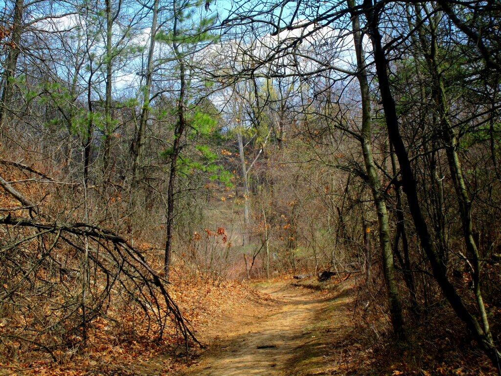 Photo: Path To Pond