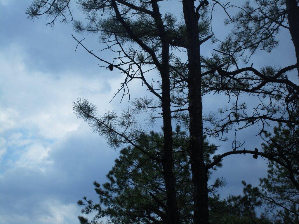 Photo: Thunder Approaches