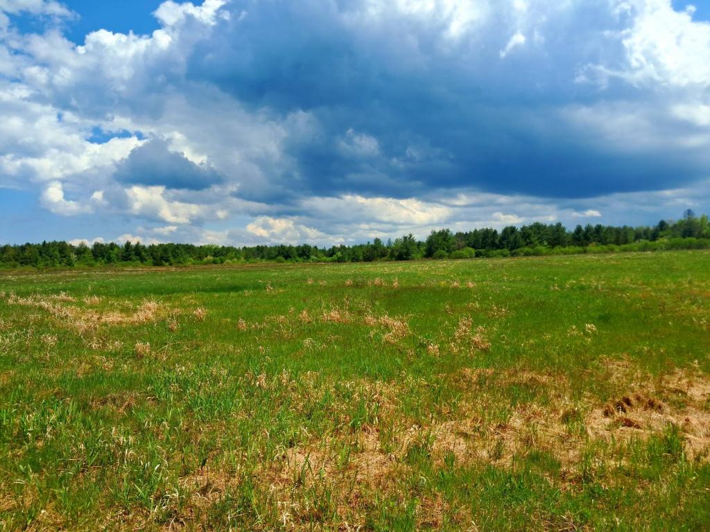 Photo: Fields Photo: Fields