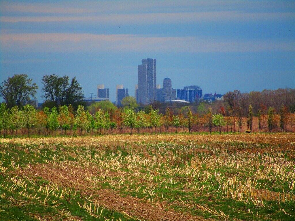 Photo: Albany, NY