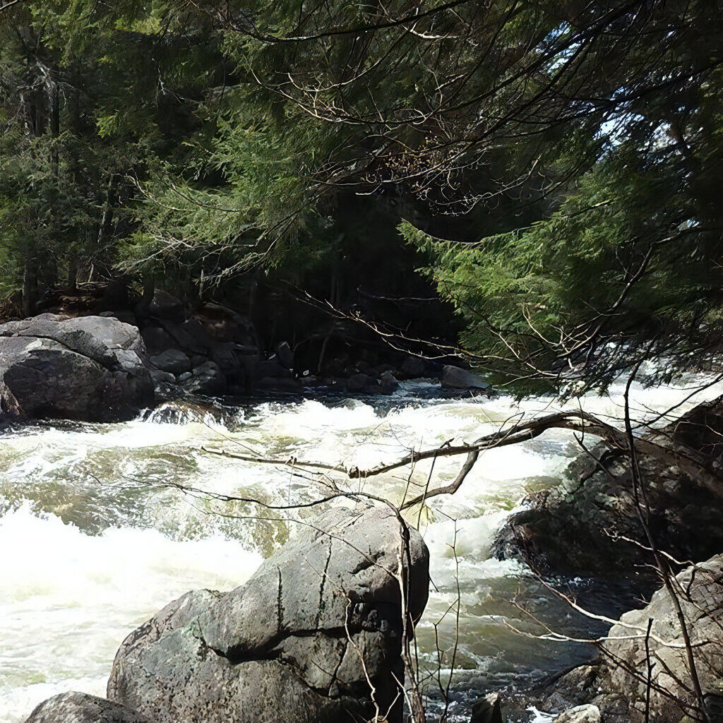 Photo: Lots of white water Photo: Lots of white water