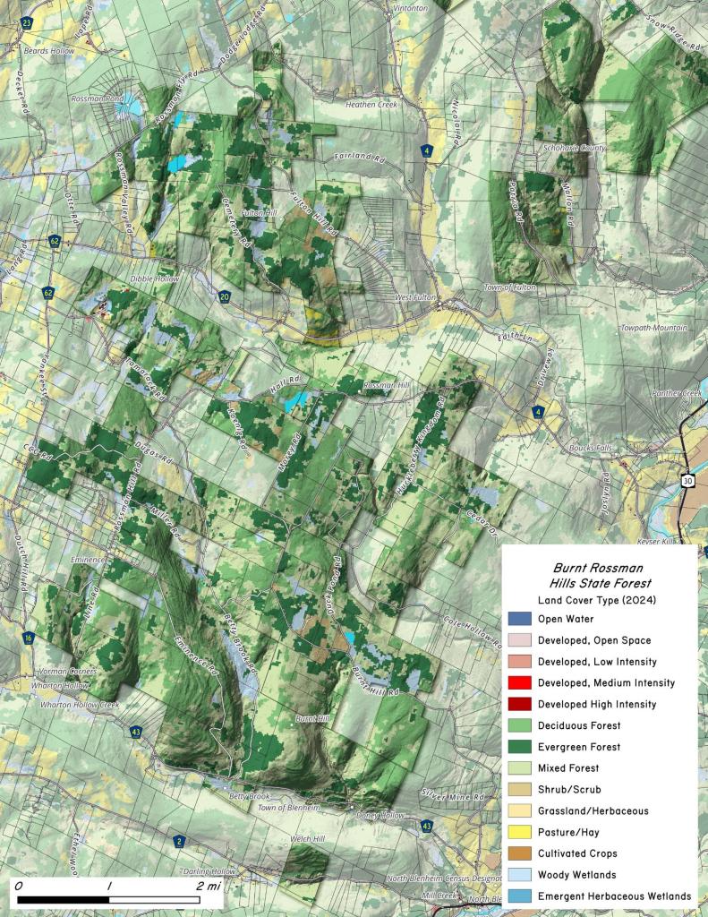 Thematic Map: Burnt Rossman Hills - Land Cover