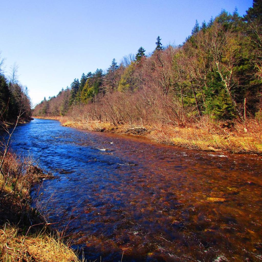 Photo: East Branch Photo: East Branch