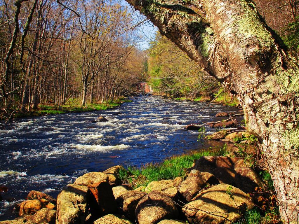 Photo: Christie Falls Hydro Plant