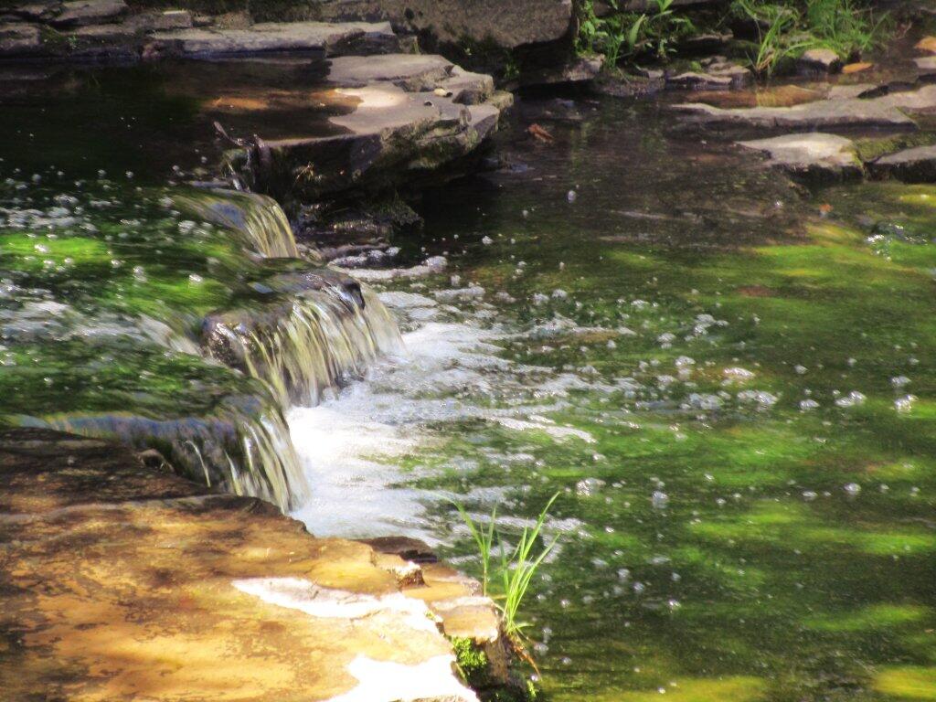 Photo: Bubbler