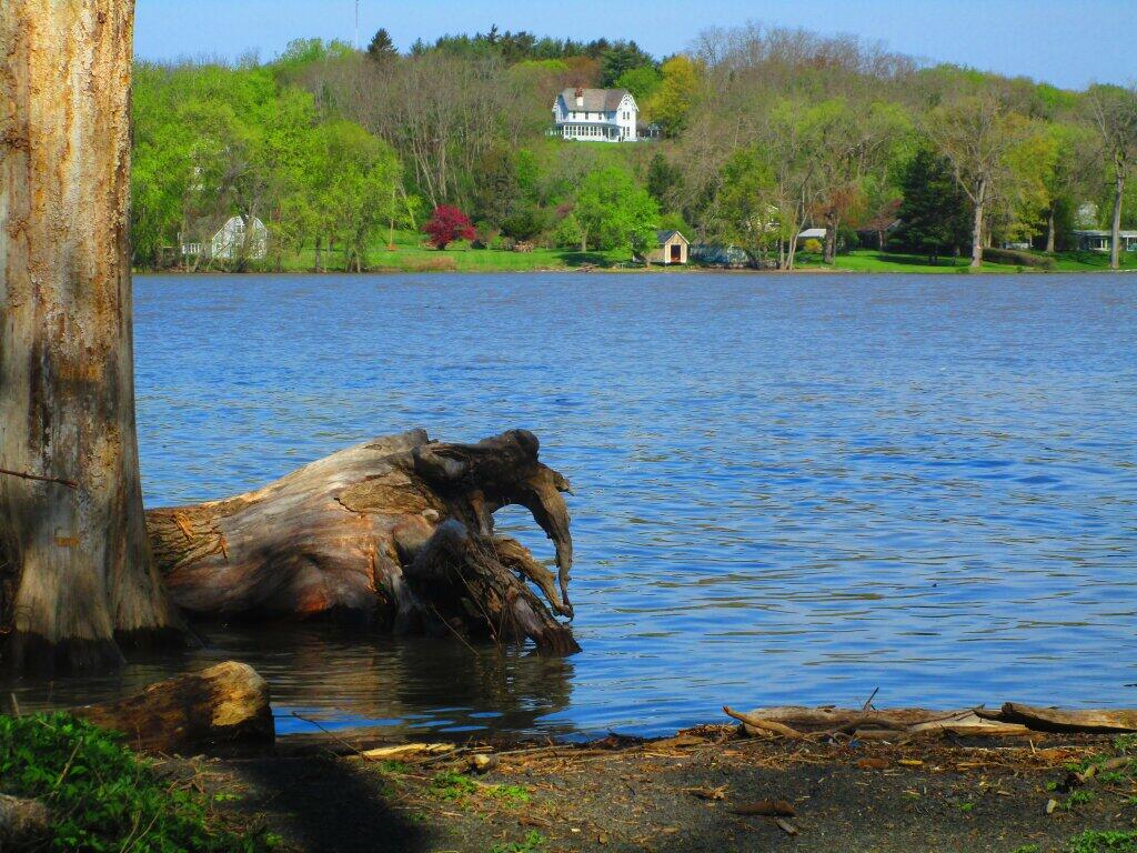 Photo: High Tide Photo: High Tide