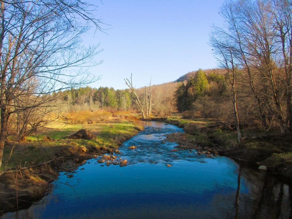 Photo: Robb Creek Near the Sacandaga River Photo: Robb Creek Near the Sacandaga River