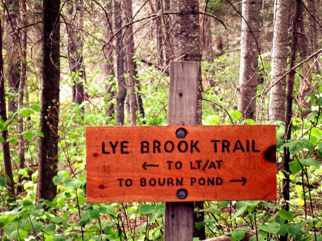 Photo: Lye Brook Trail