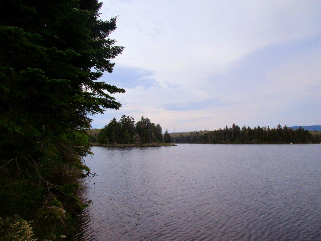 Photo: North End Of Bourne Pond