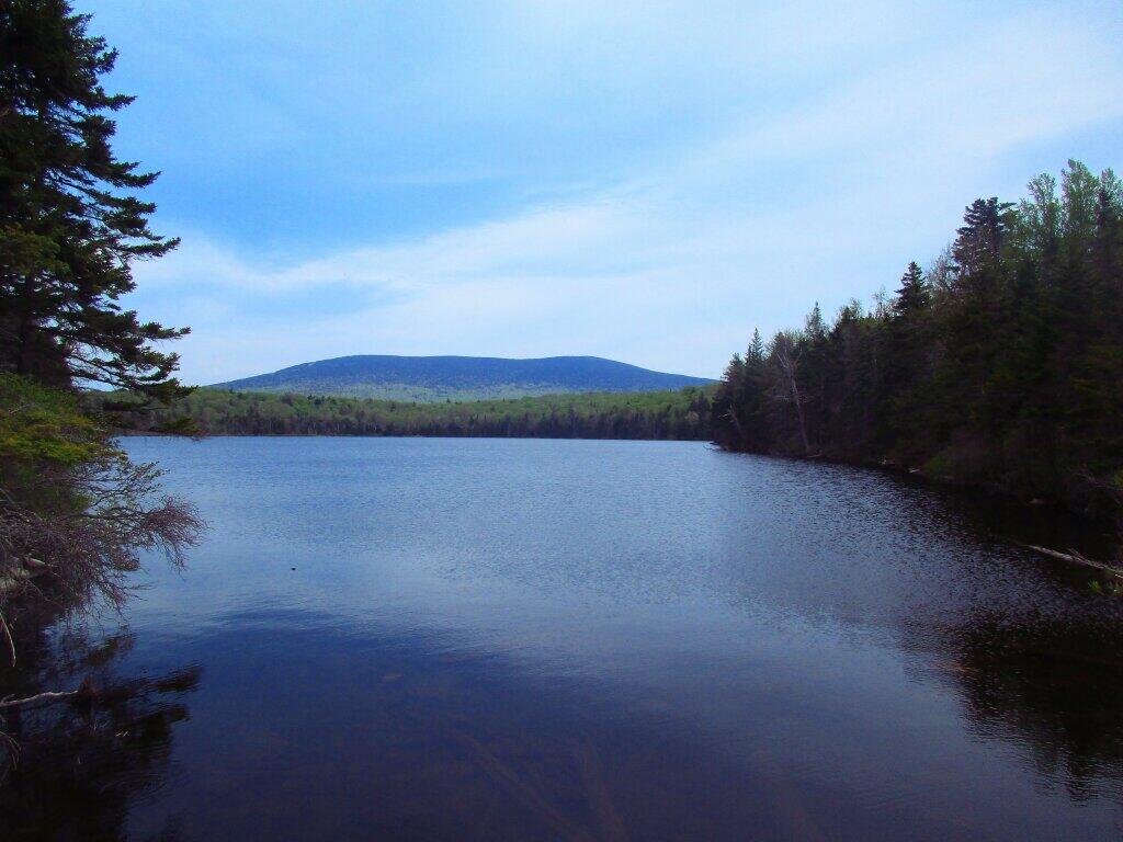 Photo: Stratton Pond