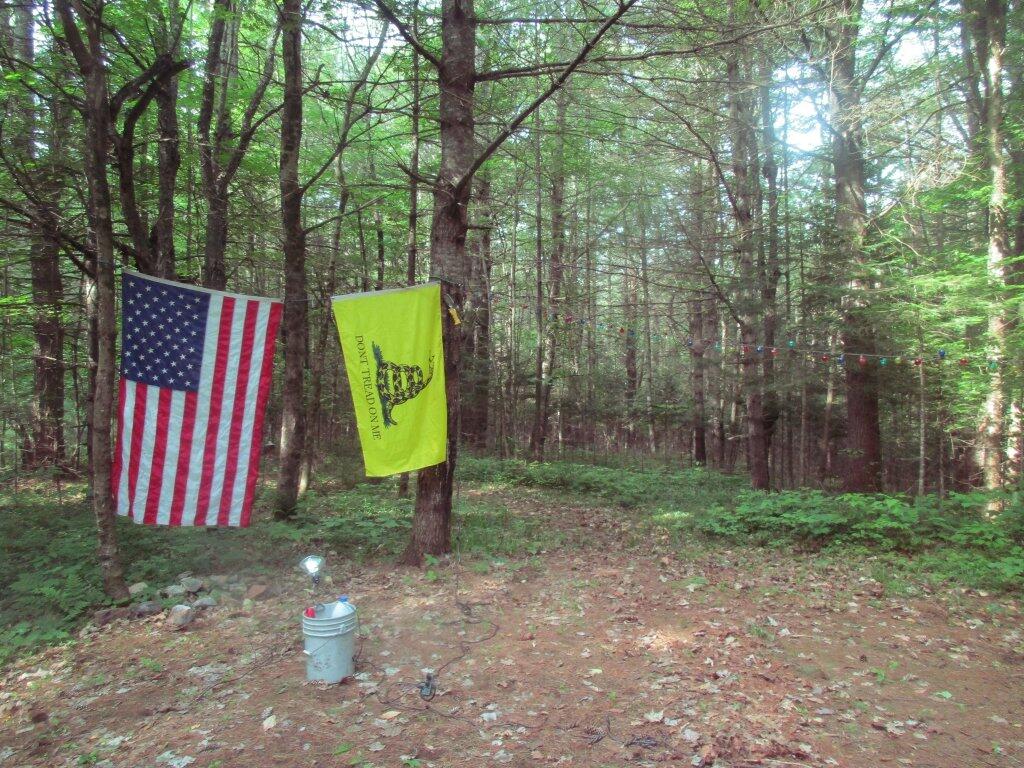 Photo: Flags