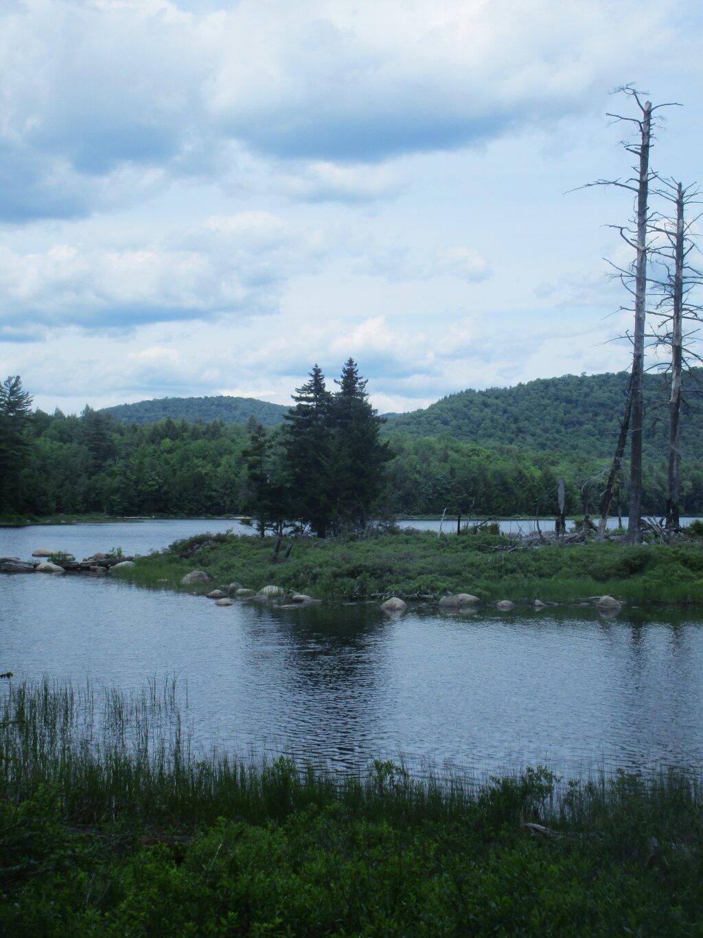 Photo: Island Photo: Island