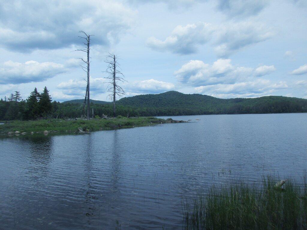 Photo: Wilcox Lake