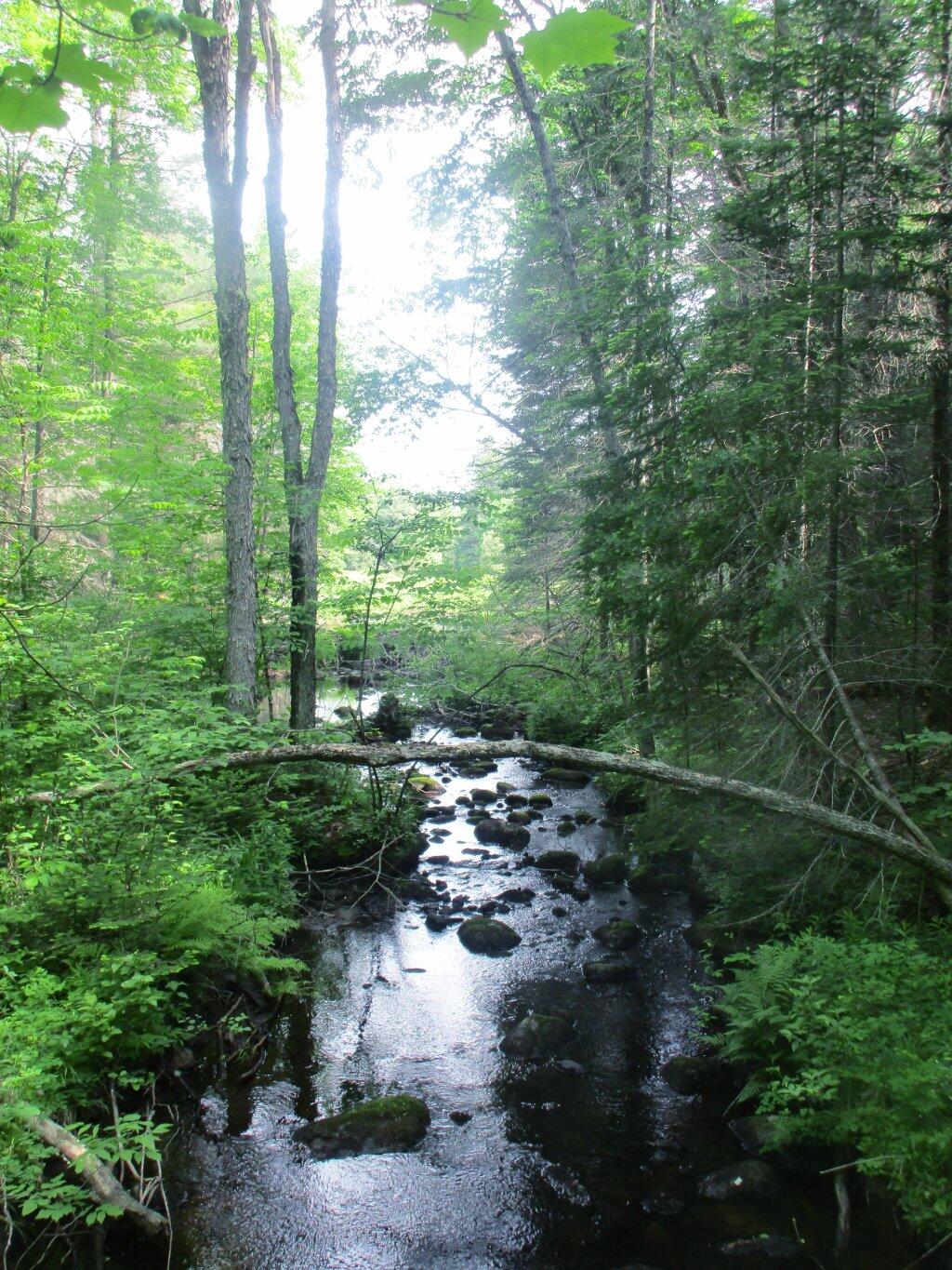 Photo: Doig Creek