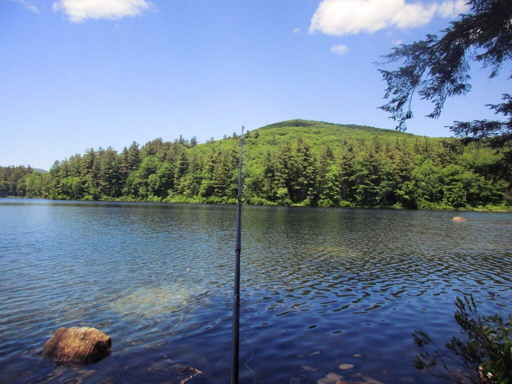 Photo: Gone Fishing
