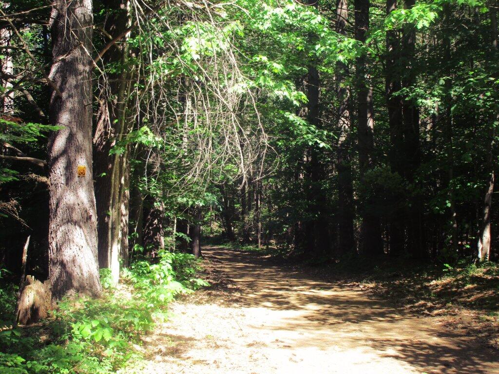 Photo: Pumpkin Hollow Road
