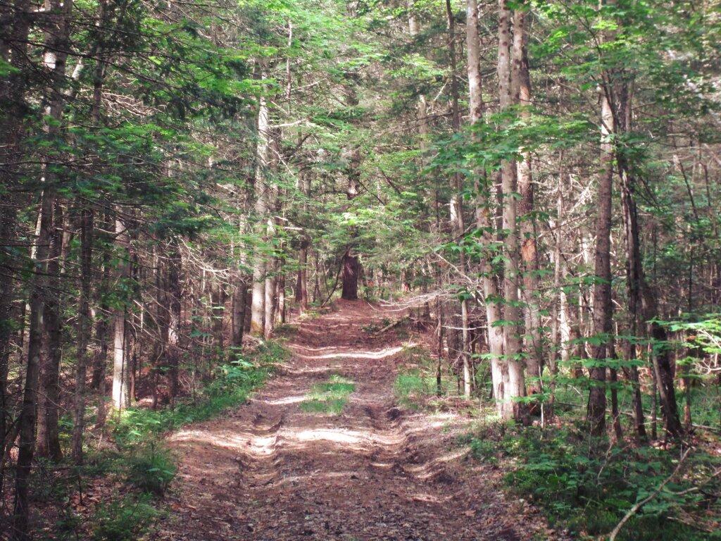 Photo: Upper Pumpkin Hollow Road