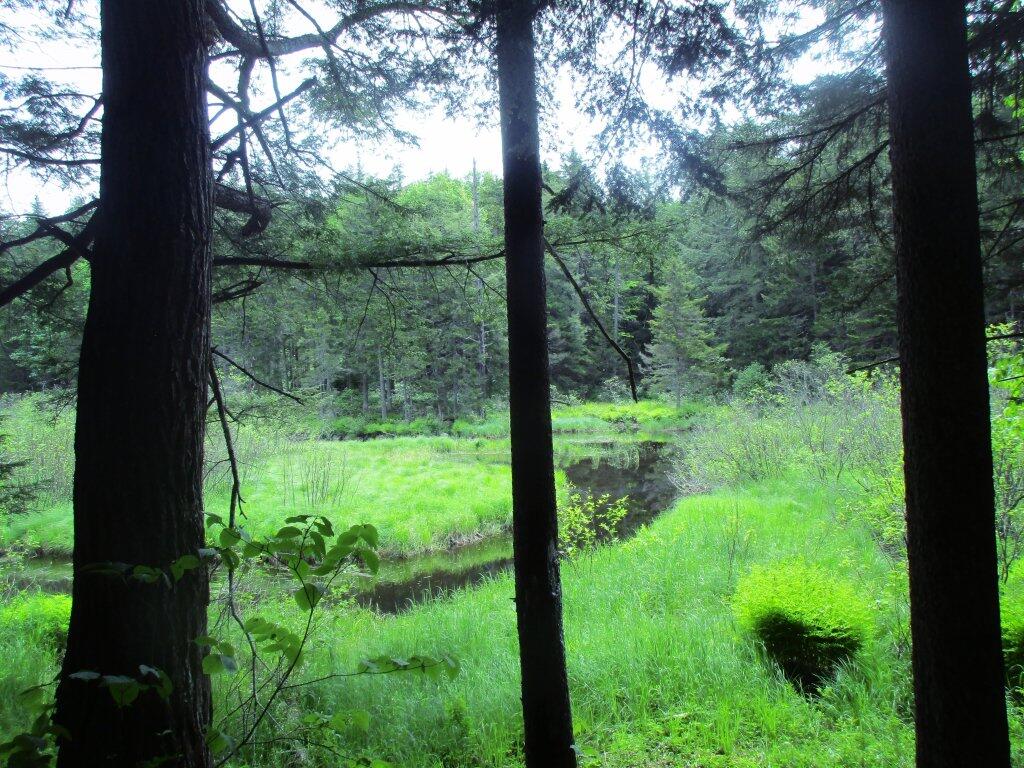 Photo: Wilcox Outlet Flatwater Photo: Wilcox Outlet Flatwater