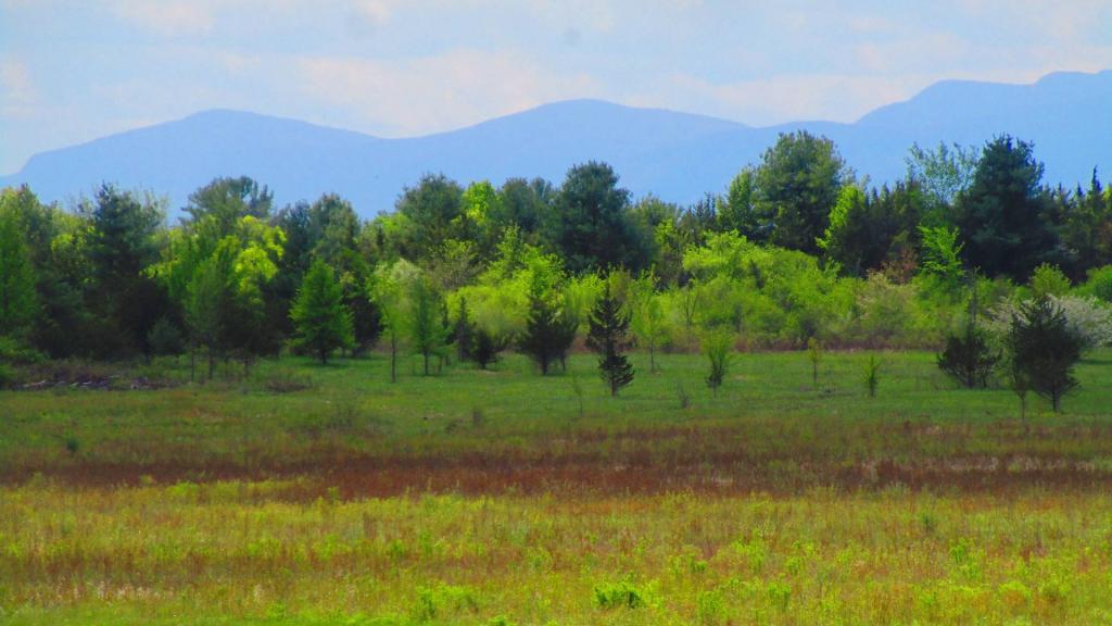 Photo: Across the Brickyards Property Towards the Catskills Photo: Across the Brickyards Property Towards the Catskills