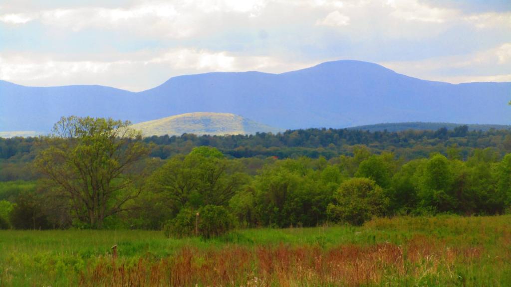 Photo: Round Top Highlighted from Empire Brickyards WMA Photo: Round Top Highlighted from Empire Brickyards WMA