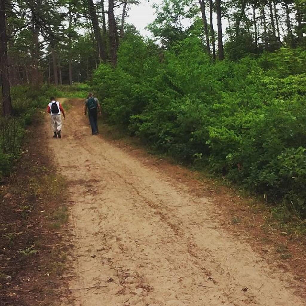 Photo: Sand Trail