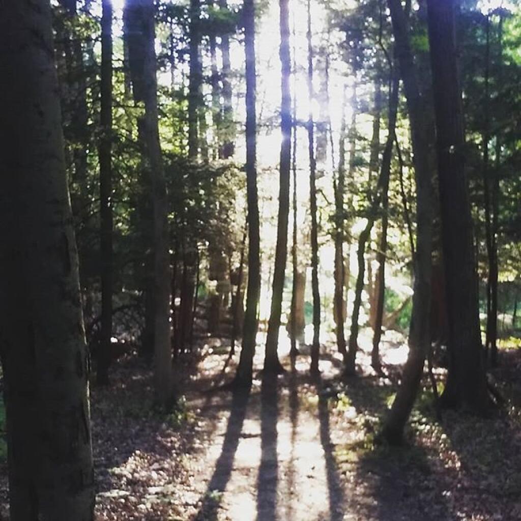 Photo: Leaving the shade