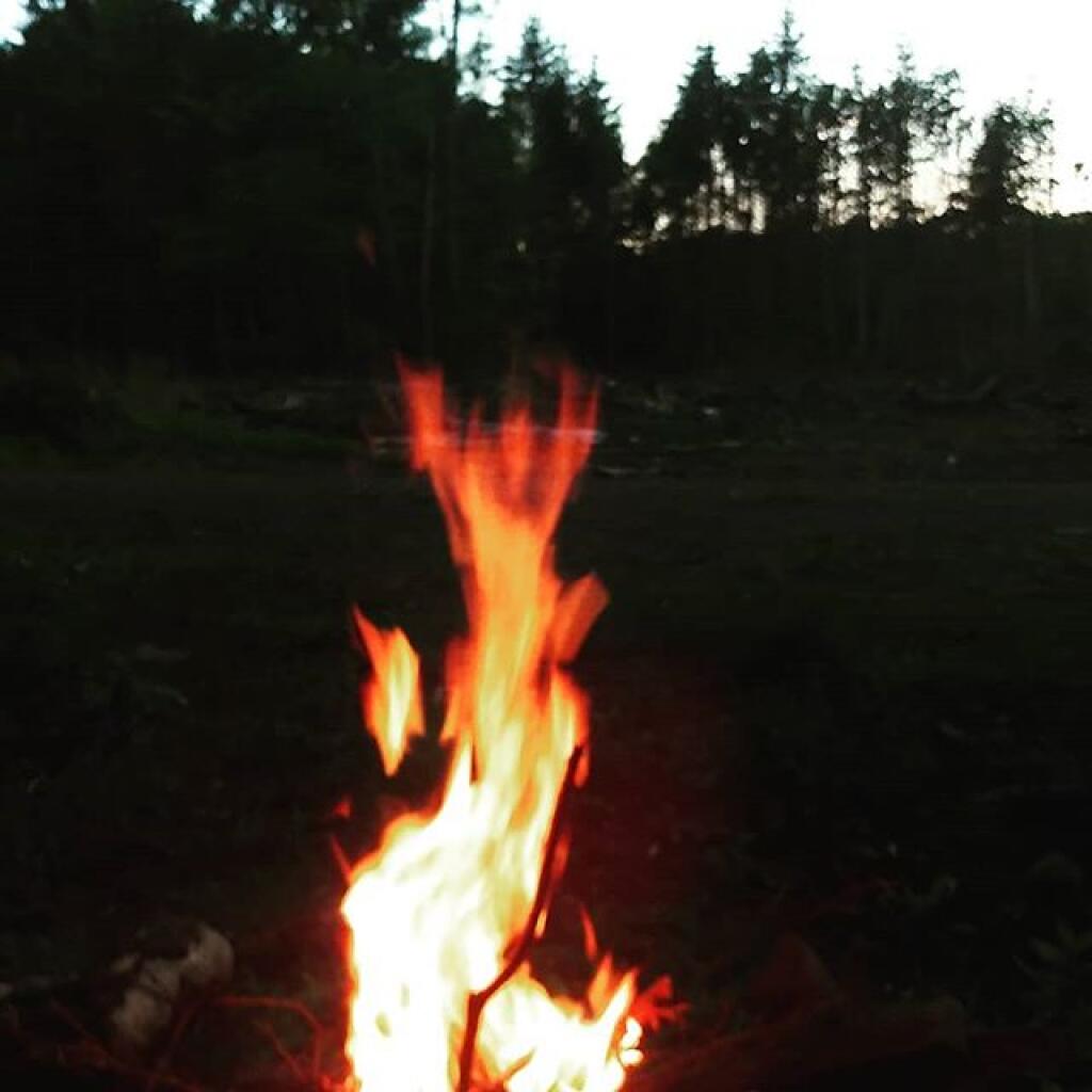 Photo: Fire Photo: Fire