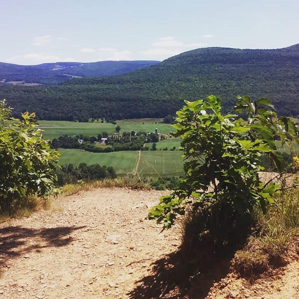 Photo: Made it to the top