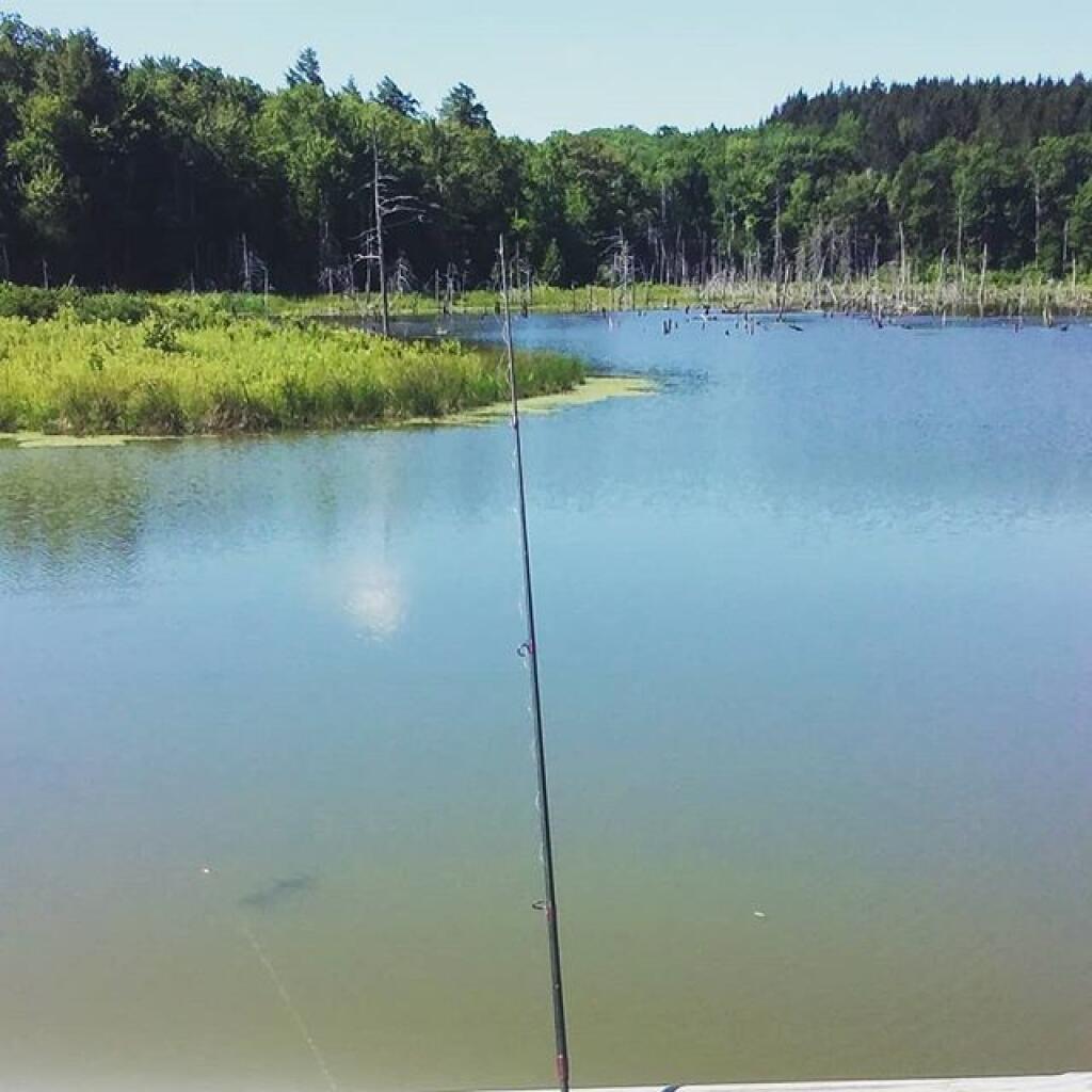 Photo: Fishing at Looking Glass Lake
