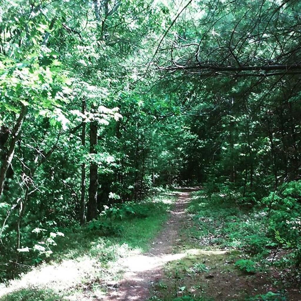 Photo: Along the ridge