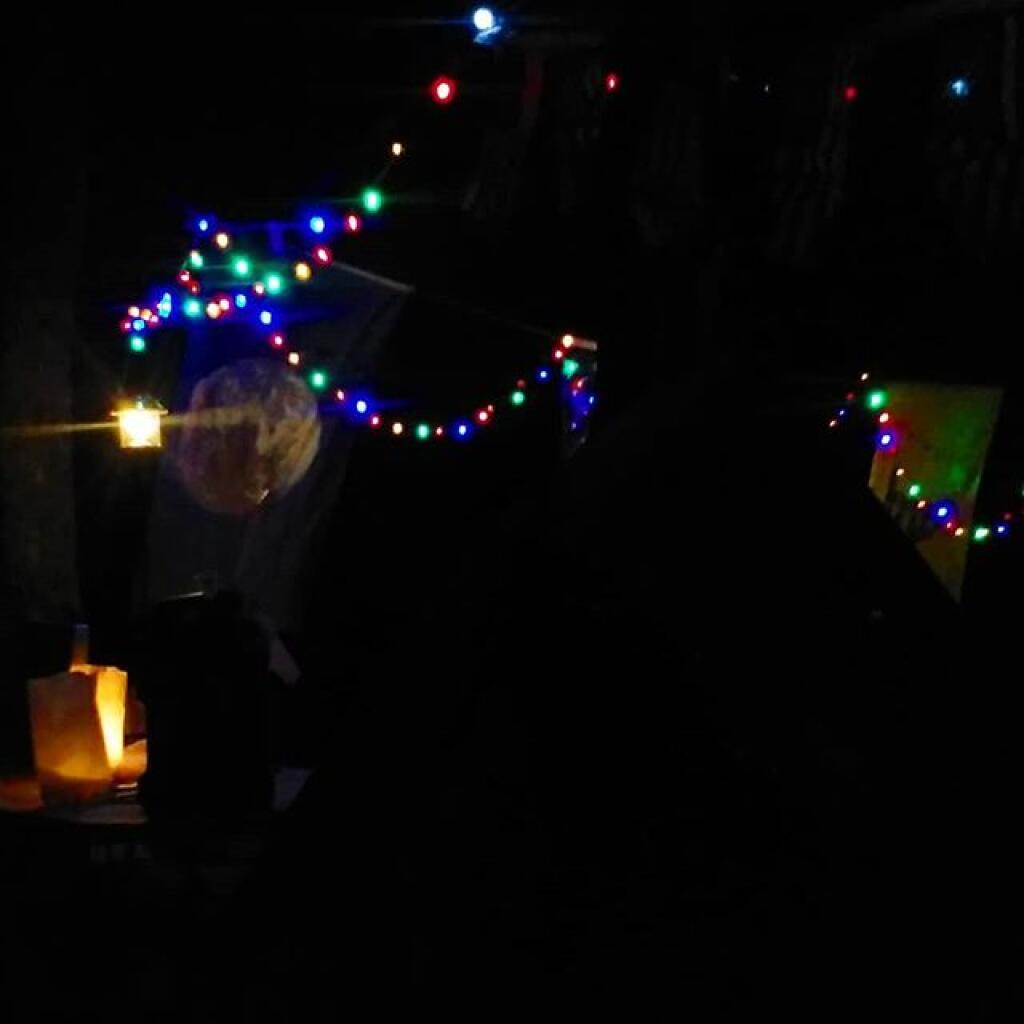 Photo: View from my hammock tonight