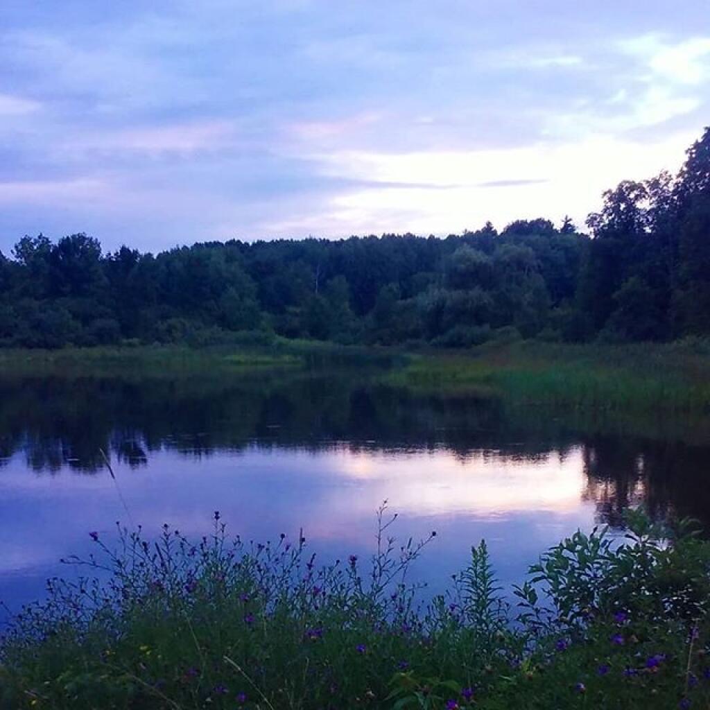 Photo: After the rain at Foster Pond