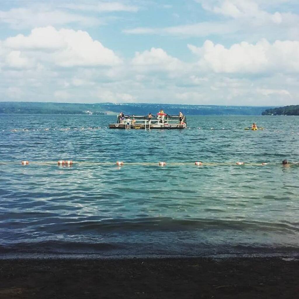 Photo: Today turned out to be a fantastic day for swimming in Cayuga Lake.