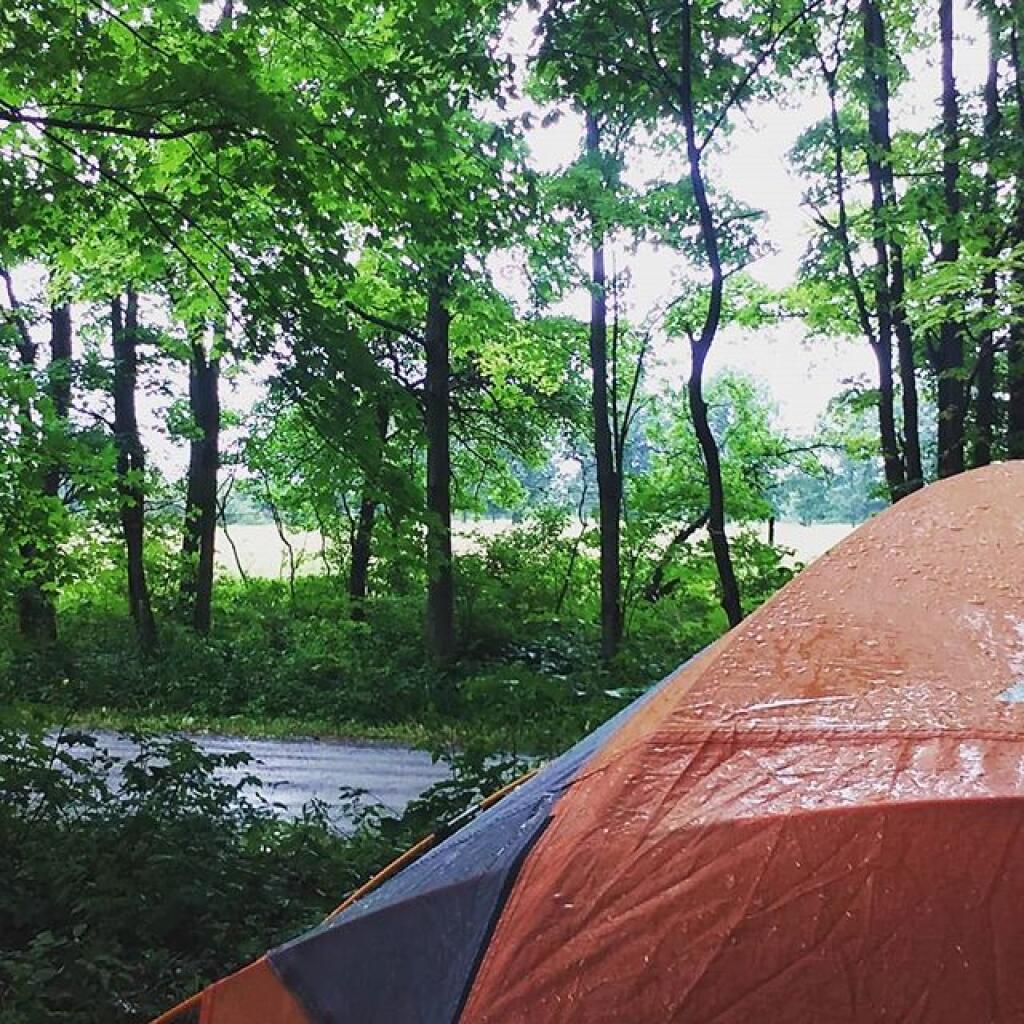 Photo: Rainy day Photo: Rainy day