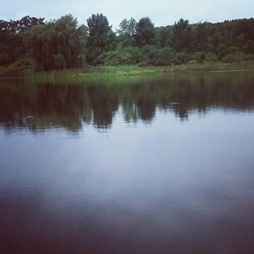 Photo: Foster Pond
