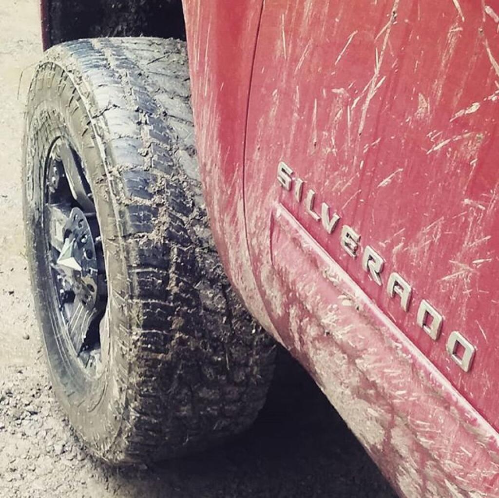 Photo: Mud
