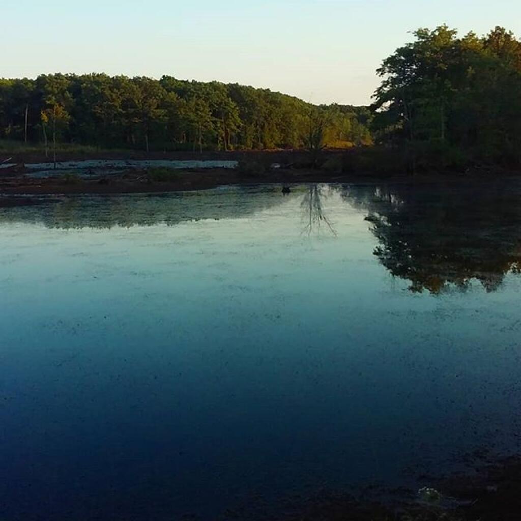 Photo: Teeter Pond is drained during dam work Photo: Teeter Pond is drained during dam work