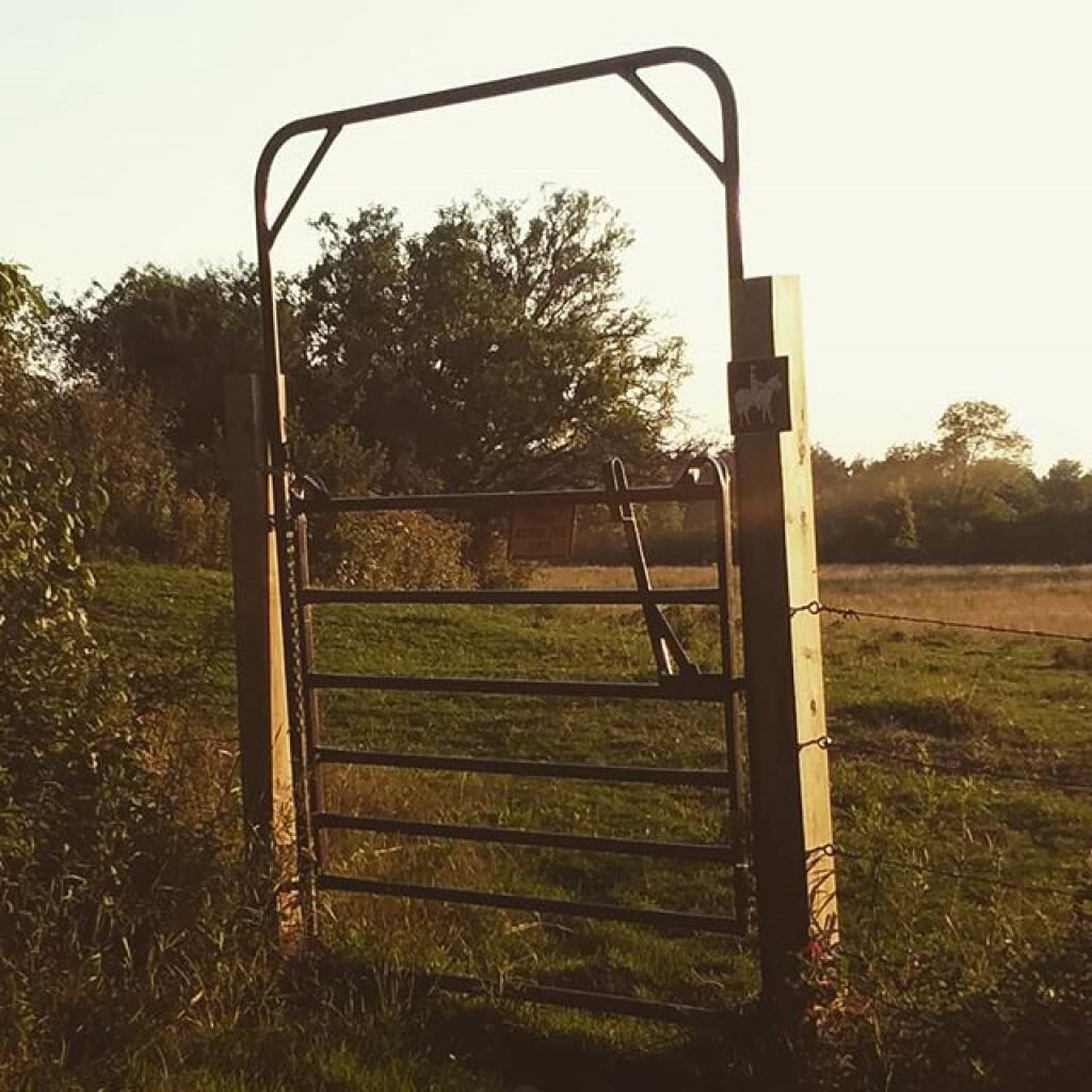 Photo: Don't let the cows out