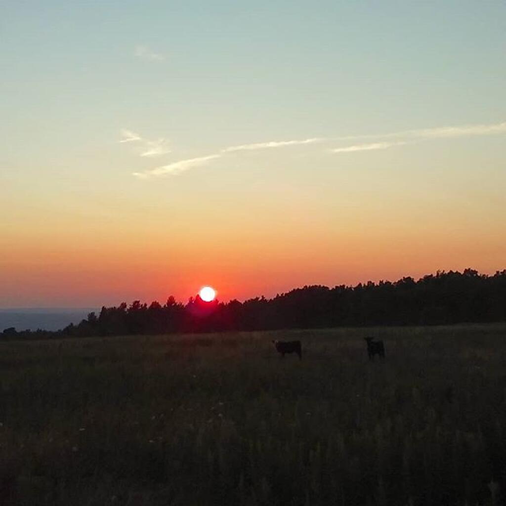 Photo: Beautiful sunset Photo: Beautiful sunset
