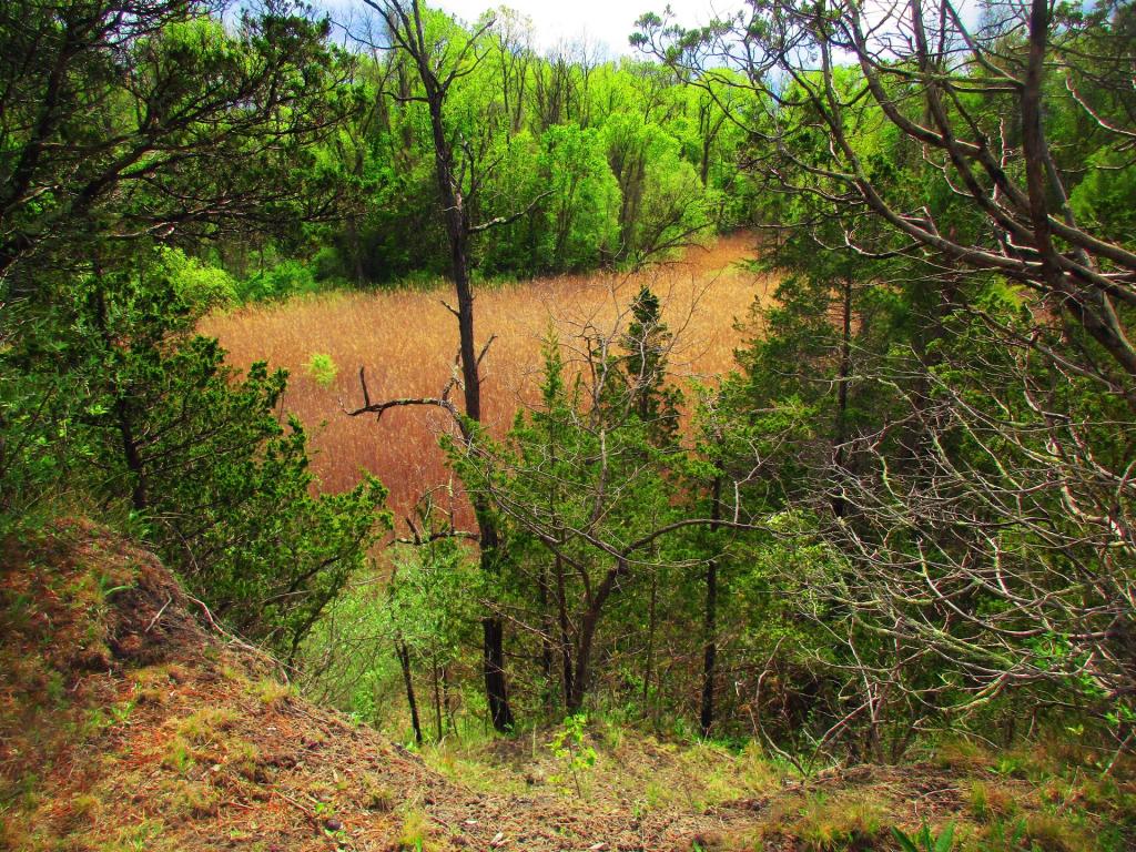 Photo: Clay Pit