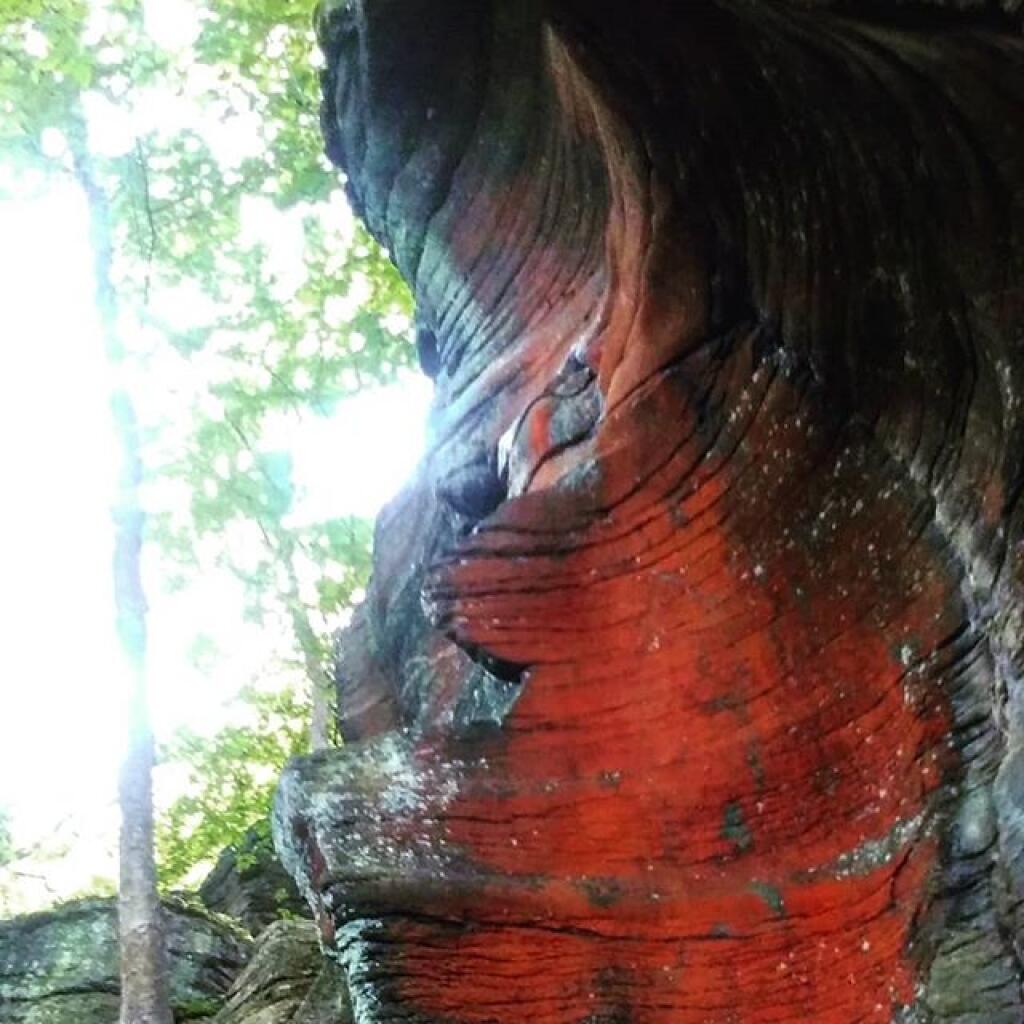 Photo: Curve
