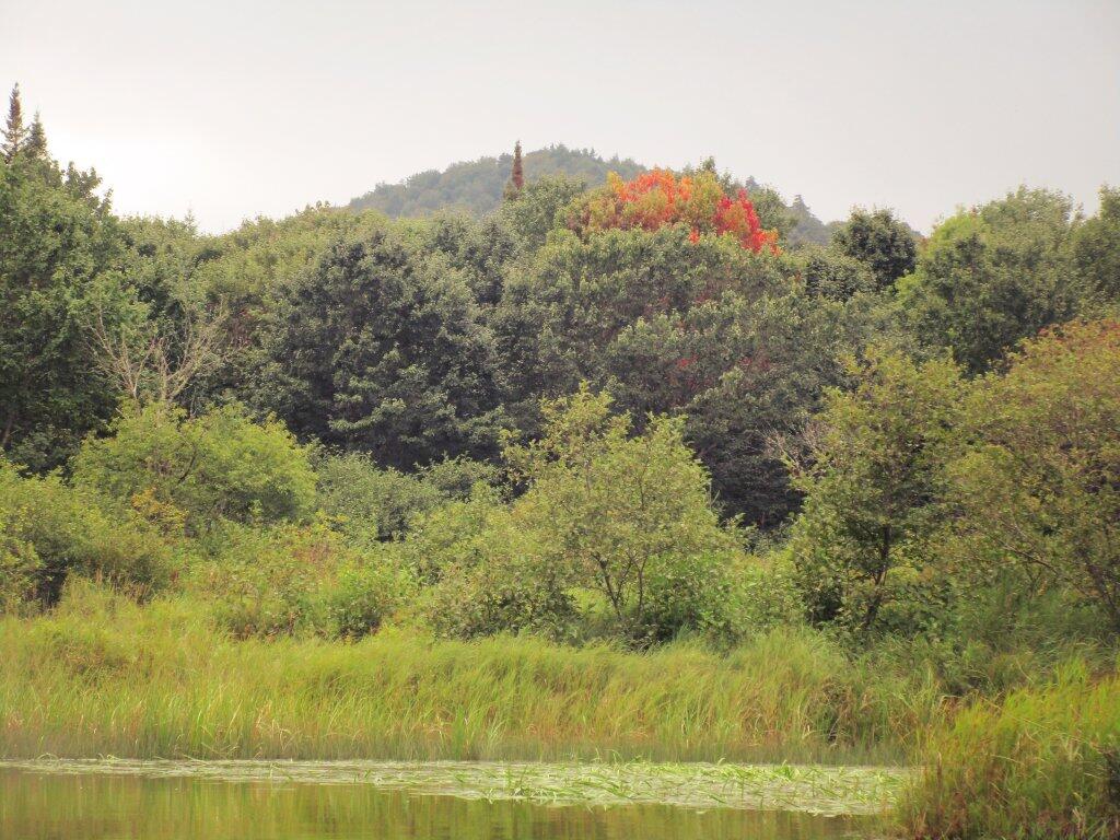 Photo: First Hints Of Fall