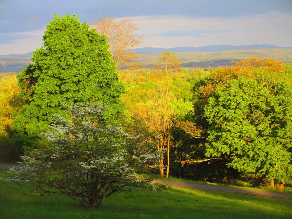 Photo: West Towards the Taconics Photo: West Towards the Taconics